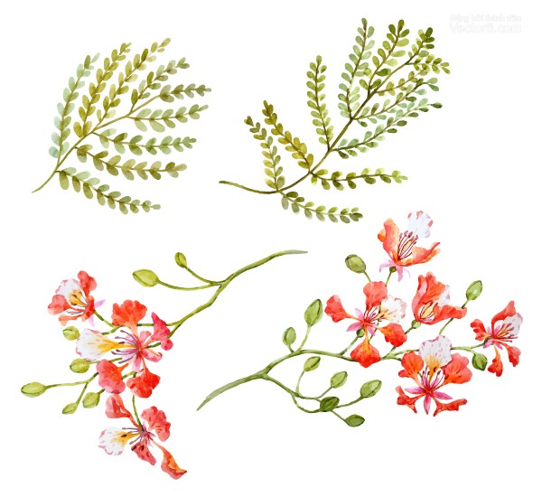 100 Cách Vẽ Bông Hoa Đẹp Đơn Giản Dễ Học THỬ NGAY