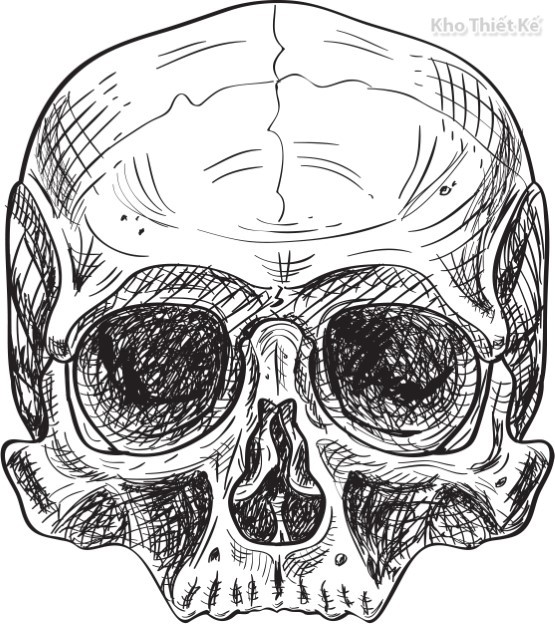 Vẽ Đầu Lâu bằng bút chì đơn giản  How to draw a Skullcap  YouTube