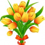 Vector bó hoa Tulip vàng #5