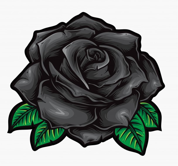 Top 320 vẽ hoa hồng đẹp siêu hot  Tin Học Vui