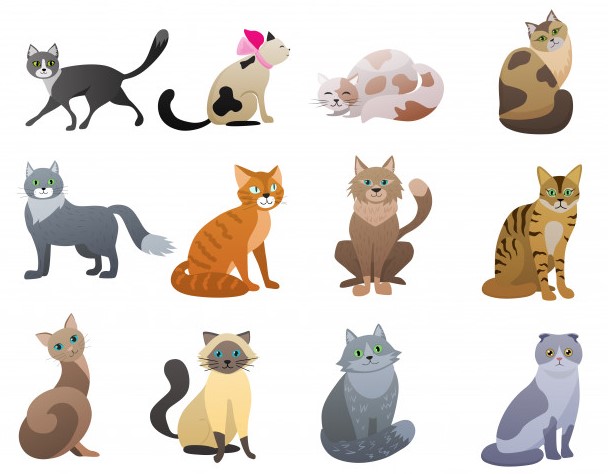 Bộ sưu tập vector mèo hoạt hình sẽ khiến bạn say mê ngay từ cái nhìn đầu tiên. Hãy tìm hiểu và sử dụng những hình ảnh đầy màu sắc này để trang trí cho công việc hay thư giãn cùng bạn bè nhé!